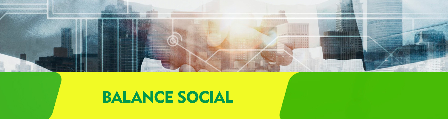 BALANCE SOCIAL